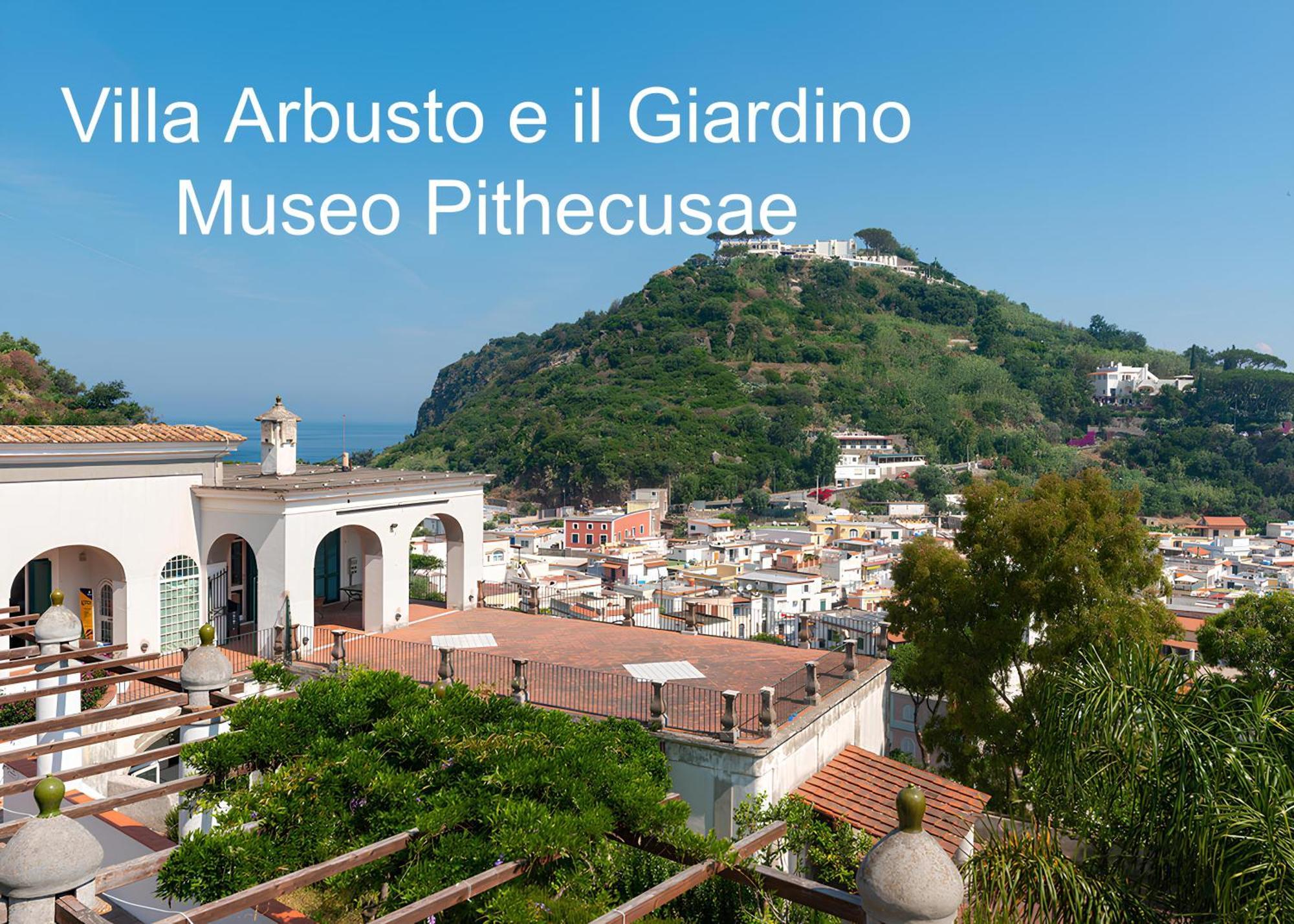 Casa Caterina Apartment Lacco Ameno  ภายนอก รูปภาพ