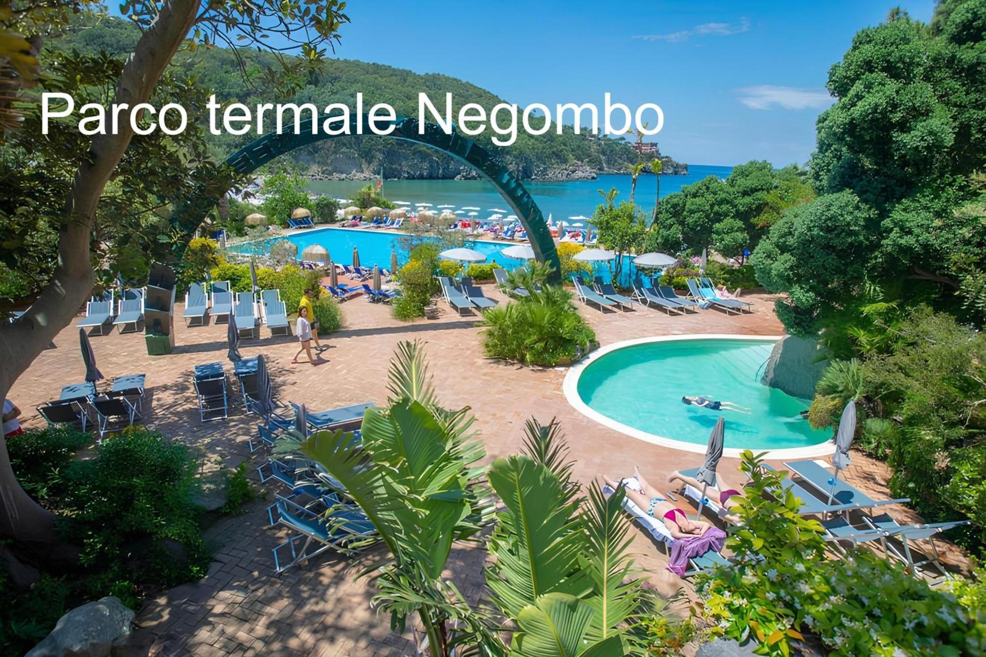 Casa Caterina Apartment Lacco Ameno  ภายนอก รูปภาพ